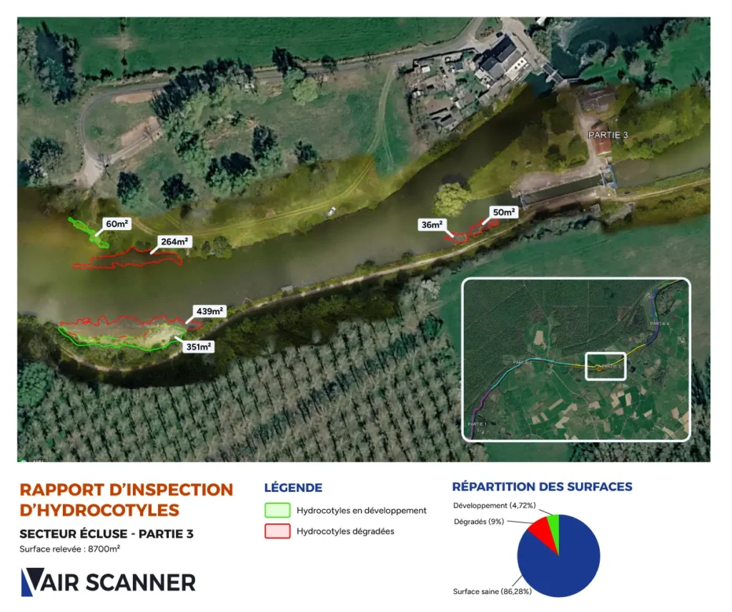 Cartographie des hydrocotyles détectés par drone dans un canal